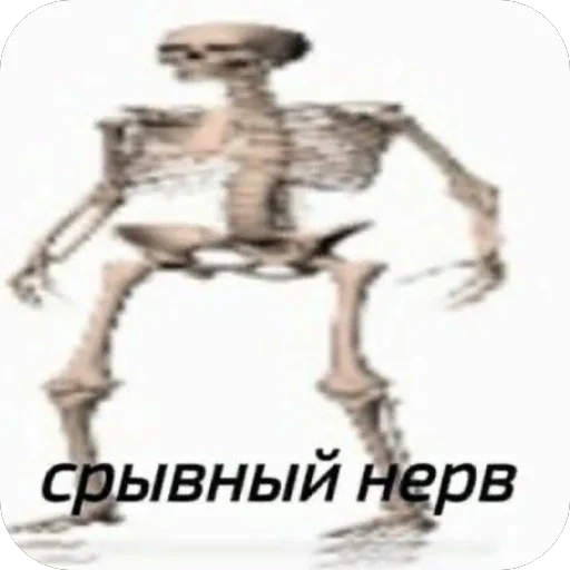🫥 Стикер «для важных переговоров» для Telegram