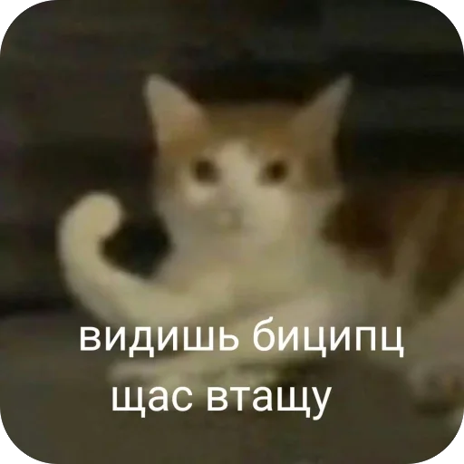 🫥 Стикер «для важных переговоров» для Telegram