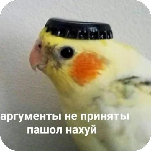 🫥 Стикер «для важных переговоров» для Telegram