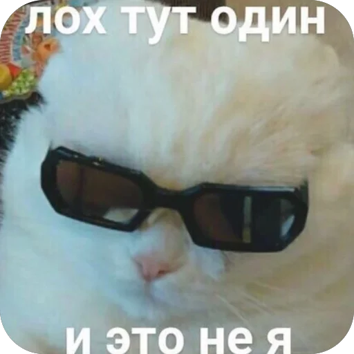 🫥 Стикер «для важных переговоров» для Telegram