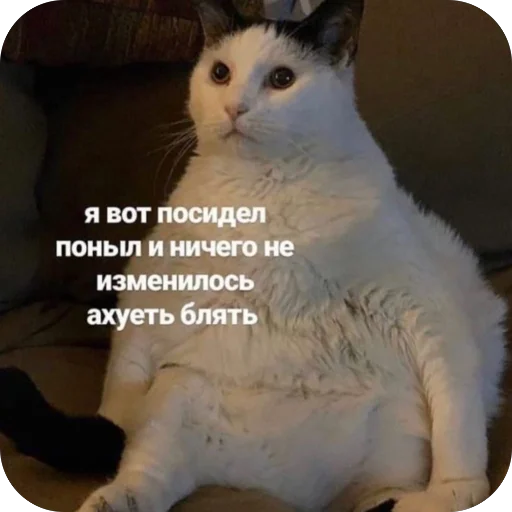 🫥 Стикер «для важных переговоров» для Telegram