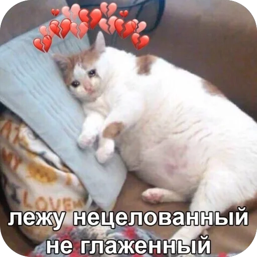 🫥 Стикер «для важных переговоров» для Telegram