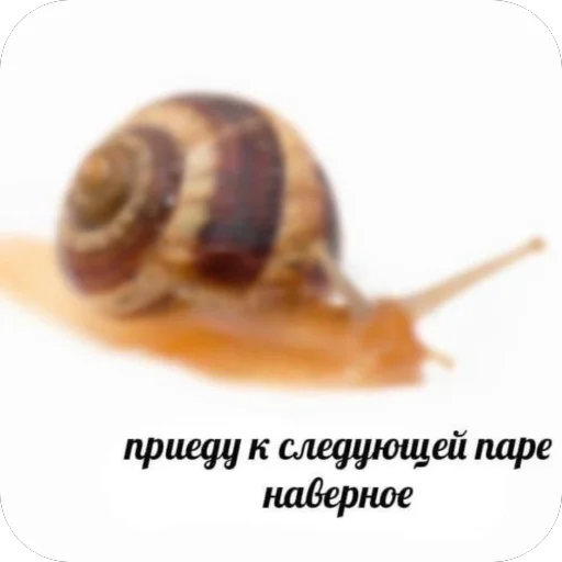 🫥 Стикер «для важных переговоров» для Telegram