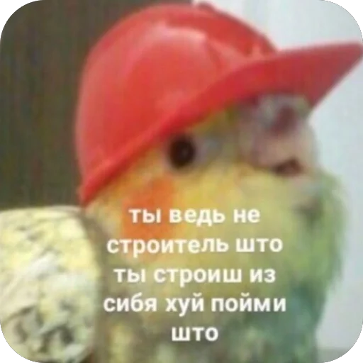 🫥 Стикер «для важных переговоров» для Telegram