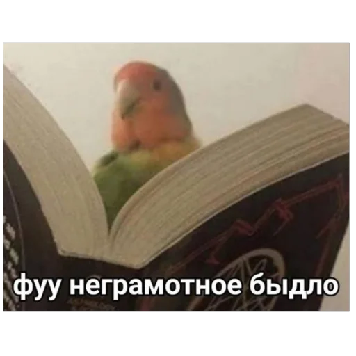 🫥 Стикер «для важных переговоров» для Telegram