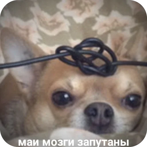 🫥 Стикер «для важных переговоров» для Telegram