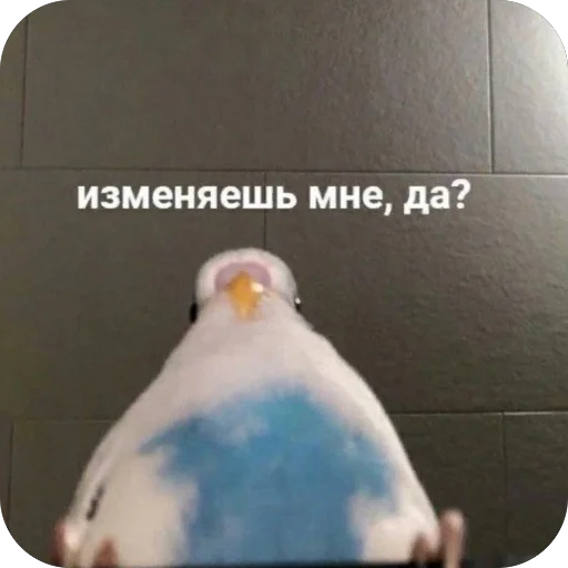 🫥 Стикер «для важных переговоров» для Telegram