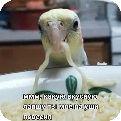 🫥 Стикер «для важных переговоров» для Telegram
