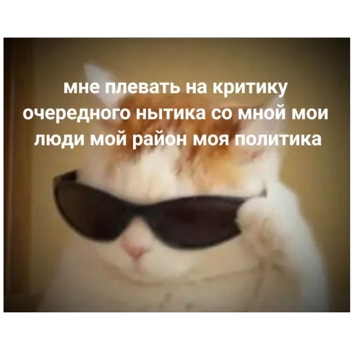 🫥 Стикер «для важных переговоров» для Telegram