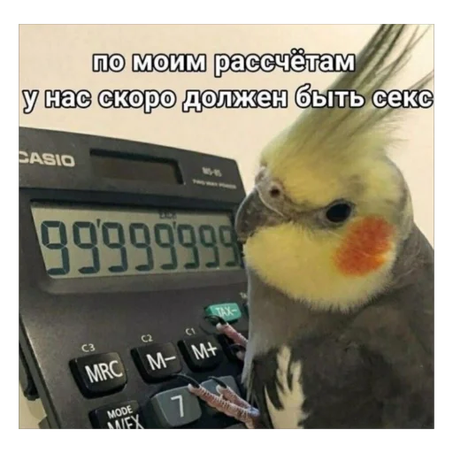 🫥 Стикер «для важных переговоров» для Telegram