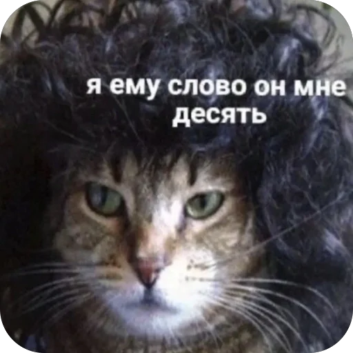 🫥 Стикер «для важных переговоров» для Telegram