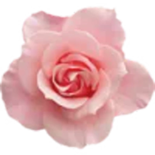 🌸 Эмодзи «Valentine's Day» для Telegram
