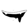 Стикер 33 ꪆ Vaꭑթir ୧