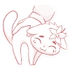 Обложка пака