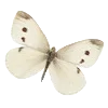 Стикер 25 Vanilla Core
