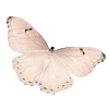 Стикер 31 Vanilla Core