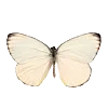 Стикер 13 Vanilla Core