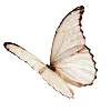 Стикер 5 Vanilla Core