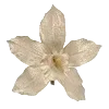 Стикер 4 Vanilla Core