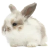 🤍 Эмодзи «𝑉𝑎𝑛𝑖𝑙𝑙𝑎.» для Telegram