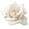 🤍 Эмодзи «𝑉𝑎𝑛𝑖𝑙𝑙𝑎.» для Telegram
