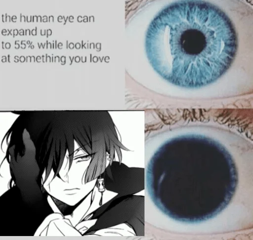 👁 Стикер «Vanitas no Carte» для Telegram