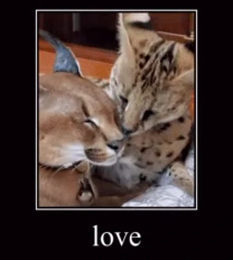 😘 Стикер «Большой Шлёпа» для Telegram