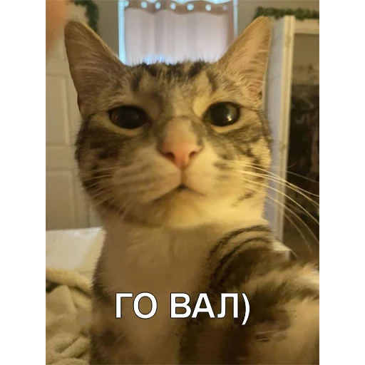 🤖 Стикер «valik» для Telegram