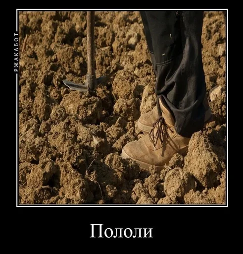 🌟 Стикер «Зайчик 4 эпизод - мемы» для Telegram