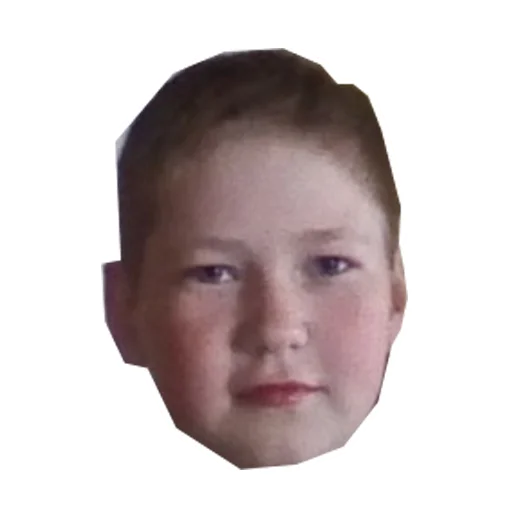 🇺🇸 Стикер «ВАТНИК» для Telegram