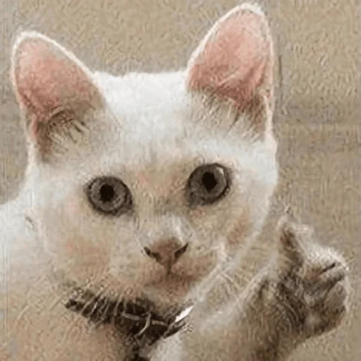👍 Стикер «VБЛЯДЪСКИЕ СТИКЕРЫ» для Telegram