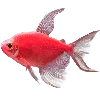 🐟 Эмодзи «Sea World» для Telegram