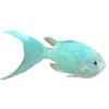 🐟 Эмодзи «Sea World» для Telegram