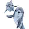 🐬 Эмодзи «Sea World» для Telegram