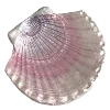 🐚 Эмодзи «Sea World» для Telegram