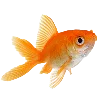 🐟 Эмодзи «Sea World» для Telegram