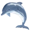 🐬 Эмодзи «Sea World» для Telegram
