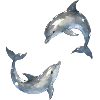 🐬 Эмодзи «Sea World» для Telegram