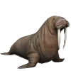 🦭 Эмодзи «Sea World» для Telegram