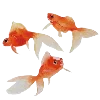 🐡 Эмодзи «Sea World» для Telegram