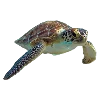🐢 Эмодзи «Sea World» для Telegram