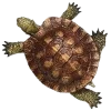 🐢 Эмодзи «Sea World» для Telegram