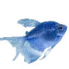 🐟 Эмодзи «Sea World» для Telegram