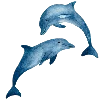 🐬 Эмодзи «Sea World» для Telegram