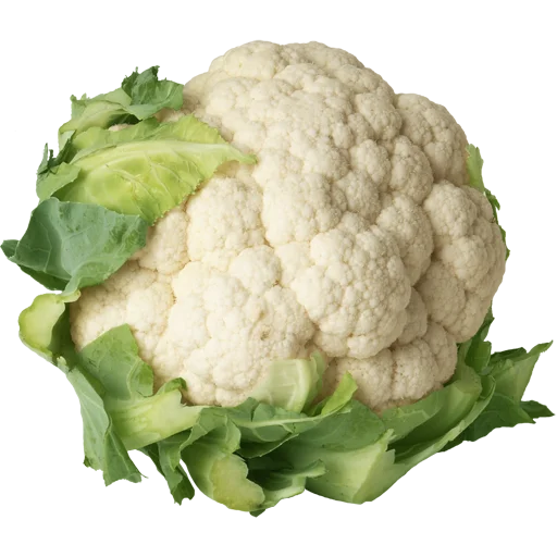 🥦 Стикер «Vegetables» для Telegram