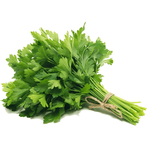 🥬 Стикер «Vegetables» для Telegram