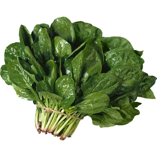 🥬 Стикер «Vegetables» для Telegram