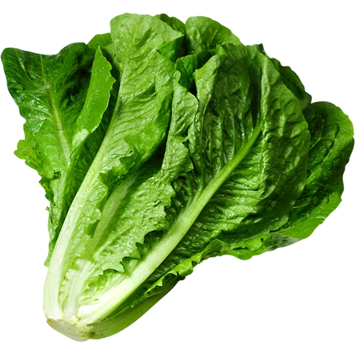 🥦 Стикер «Vegetables» для Telegram