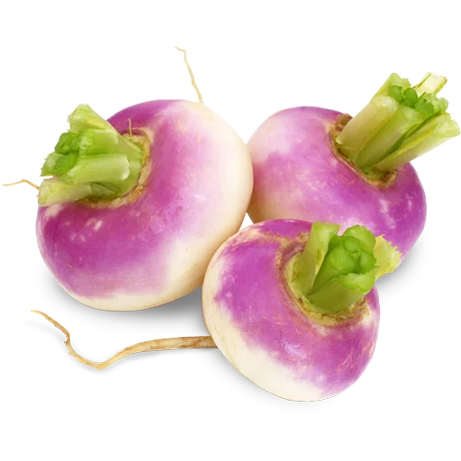 🥕 Стикер «Vegetables» для Telegram