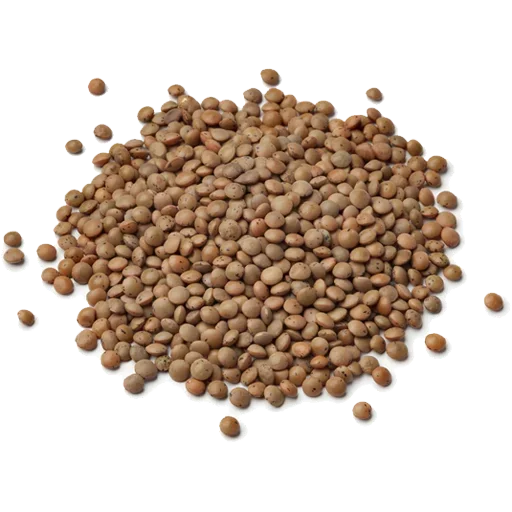 🫛 Стикер «Vegetables» для Telegram